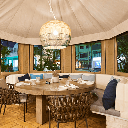 아네모스 카모아 혜택