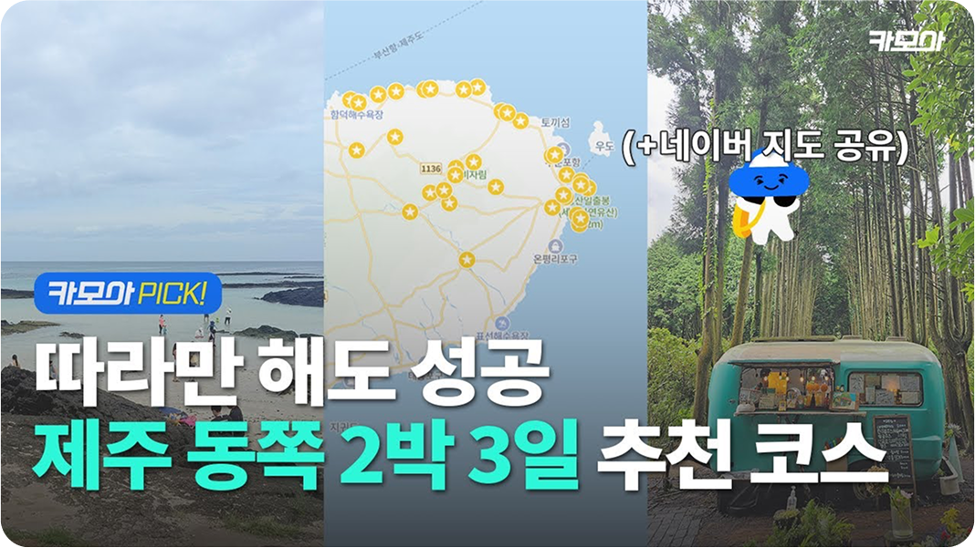 제주 토박이 카모아 직원 PICK!